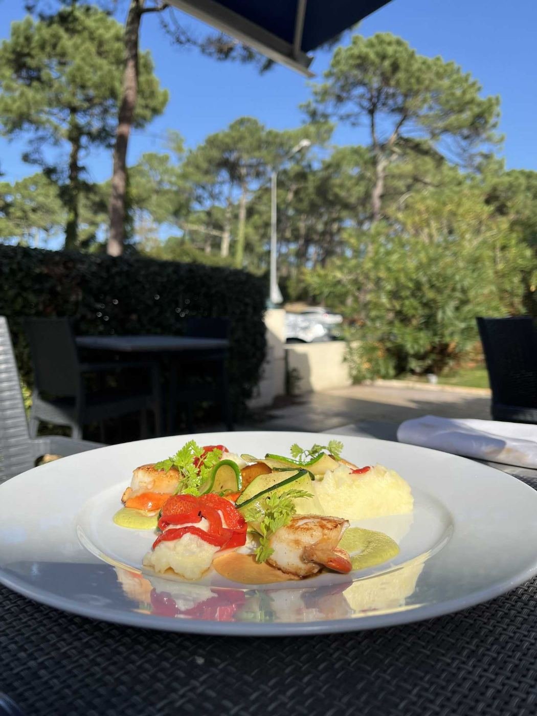 Assiette servie en terrasse sous les pins